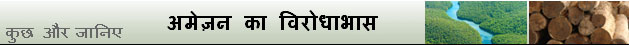 अमेज़न बैनर 