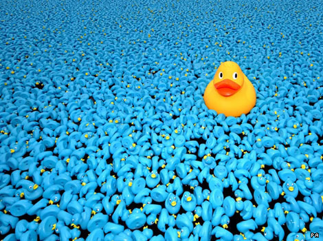 A yellow duck among thousands of blue plastic ducks on the River Thames