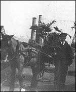 An employee of Bealing Nurseries