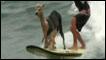 Alpaca surfista