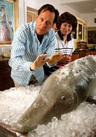 Breathe on your Sturgeon Fillet till it defrosts