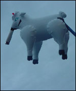 Inflatable sheep
