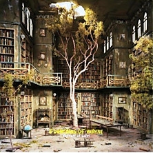 Review of Sky Full of Holes 