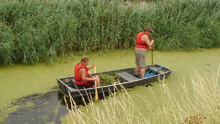 Dail-ceiniog arnofiol ar Wastadeddau Gwent