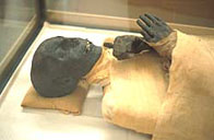 Image of Tuthmosis III's mummified body