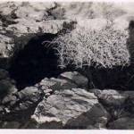 One of the ‘Fox Holes’ at the camp dug out at Gambut