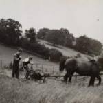 photograph of two men, a horse and a plough in a field in the area around Chagford, Devon - 1940.