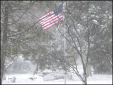 View from Mardell's study