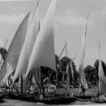 Boats on the Nile
