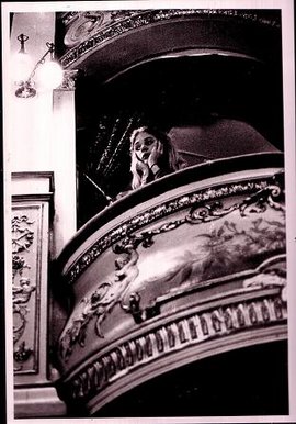 A Girl in a Theatre Box
