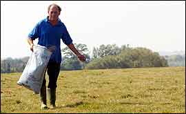 John Brice sowing seed in field