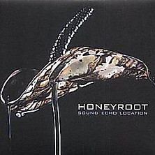 Review of Sound Echo Location