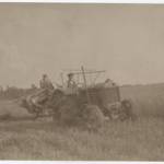 My father and grandfather cutting the corn - August 1940, Goddards Farm, Thaxted, Essex