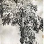 A typical snow scene around Czechoslovakia. Taken by the way.