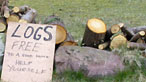 Sign for Logs for sale