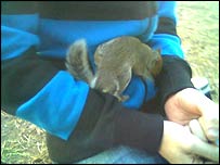 Squirrel in Adam's lap