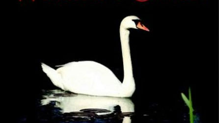 Rhan o glawr y llyfr