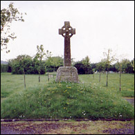 Patricia's mother's grave at Hook in Hampshire. Other patients at the Hampshire mental asylum are also buried there.