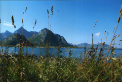 Lofoten