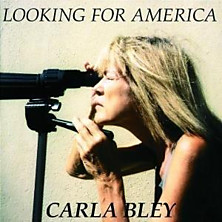Review of Looking For America