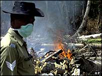 متعلقہ حکام مرنے والوں کی تلاش اور لاشوں کی آخری رسومات میں اب بھی مصروف ہیں۔