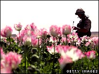 پوست کی کاشت