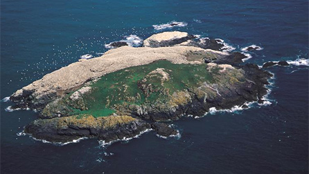 Aerial view of the gannetry at the RSPB Grassholm nature reserve. Image by John Archer-Thompson, RSPB Images.