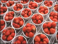 توت فرنگی های ویمبلدون