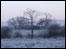 Tudhoe. By William McCartney-Bulmer