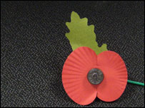 Remembrance poppy