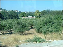 Fitorio Municipal Field