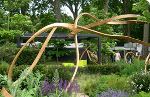 The Cancer Research garden Chelsea 2007