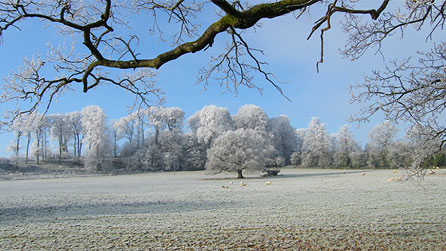 Bob Hyett took this photo this morning at Wenvoe on a very frosty Vale of Glamorgan, when it was -5C.