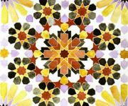 Fire by Zarah Hussain