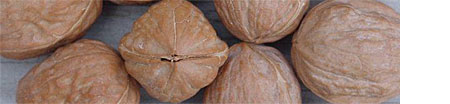 walnuts.jpg