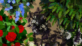 A detail from the takeaway plan