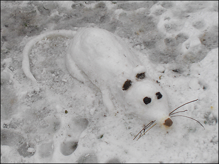 alex symonds royston