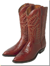 Image of a pair of cowboy boots.
