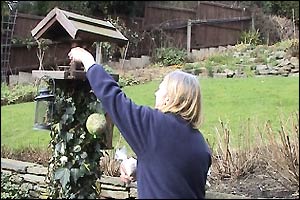 Linda loves feeding birds in her garden during the winter.