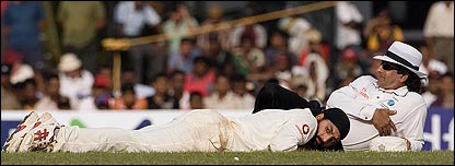 Monty takes cover from the bees