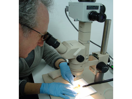 Roger Bolton looking through a microscope at one of the scroll fragments, being held down on the platen by a blue-gloved researcher