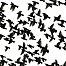 Wetland Activities (Image: Starlings in flight)