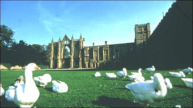 Newstead Abbey