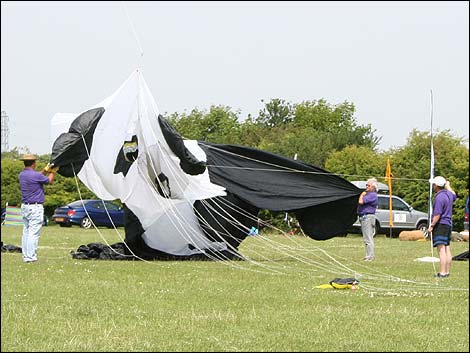 Deflated panda kite