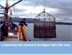 Mussel dredges