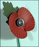 A poppy
