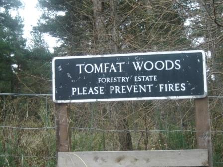Tomfat Woods