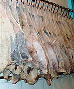 Dried cod