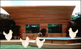 The chickens in the house.