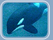 Orca